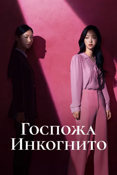 Госпожа Инкогнито (сериал 2025)