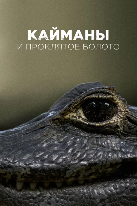 Кайманы и проклятое болото (2017)