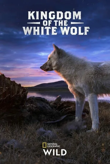 Королевство белого волка (сериал 2019)