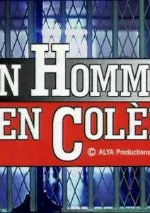 Мистер Правосудие (сериал 1997)