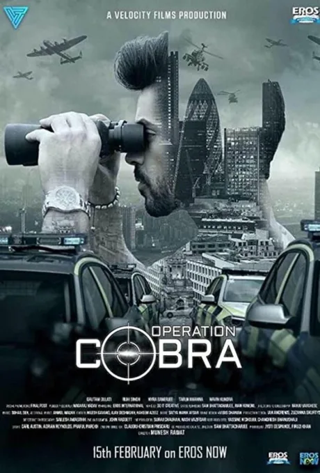 Операция «Кобра» (сериал 2019)