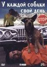 У каждой собаки свой день (1998)