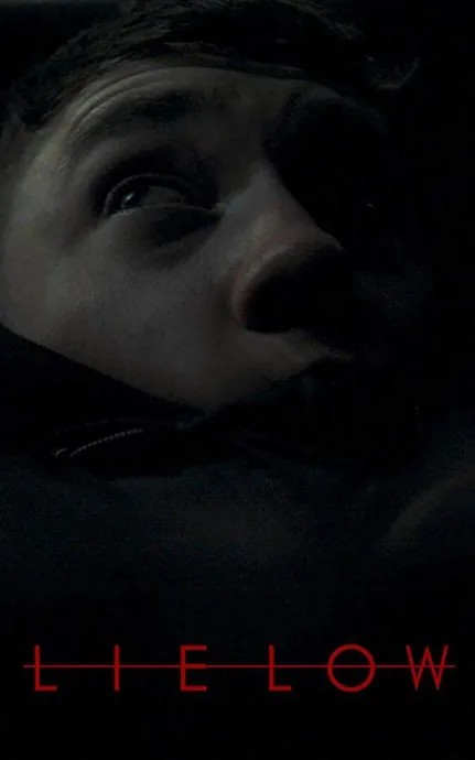 Залечь на дно (2019)